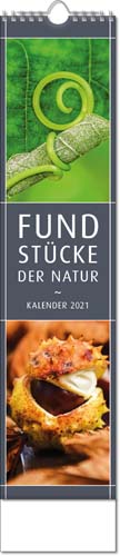 Ec-63.wire Streifenkalender FUNDSTÜCKE DER NATUR