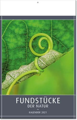 Ec-28 Bildkalender FUNDSTÜCKE DER NATUR