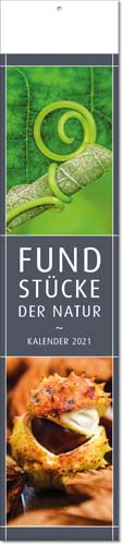 Ec-63 Streifenkalender FUNDSTÜCKE DER NATUR