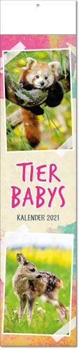 Ec-133 Streifebkalender TIERBABYS