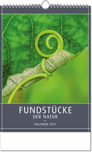 Ec-28.wire Bildkalender FUNDSTÜCKE DER NATUR